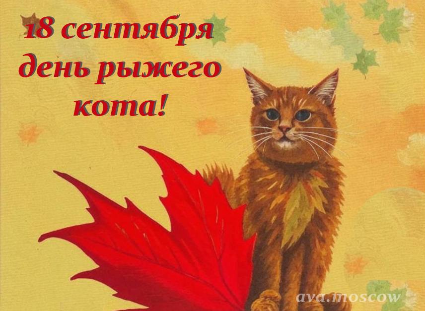 Открытка День рыжего кота