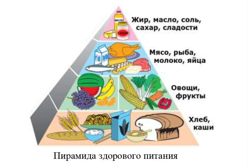 пирамида здорового питания школьника
